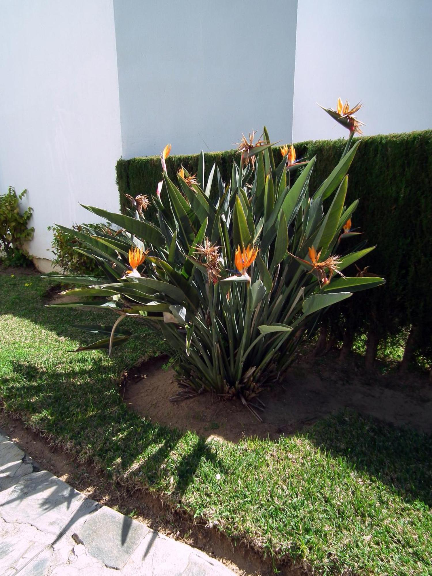 Apartamento Nerja Playa Burriana Exterior foto